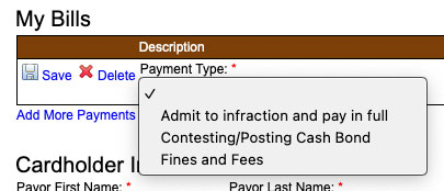 The different payment types available on external payment site